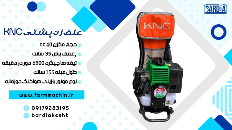 علف زن کره ای پشتی