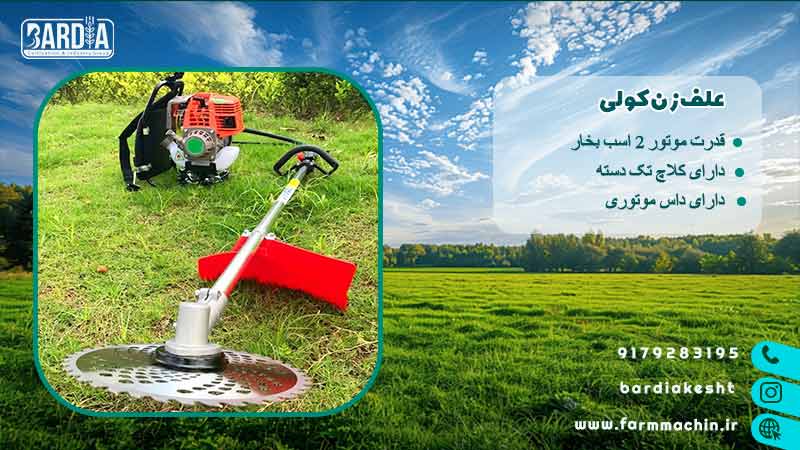 علف زن کولی