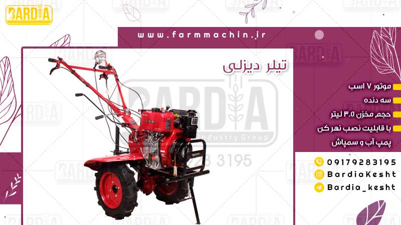 تیلر دیزلی