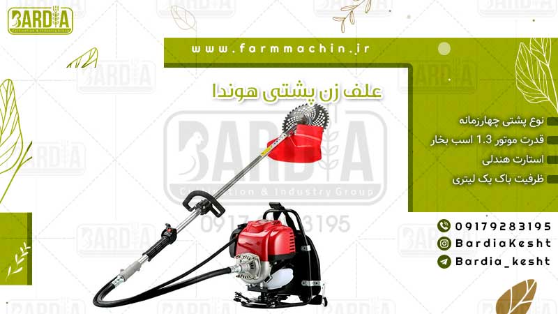 علف زن پشتی 