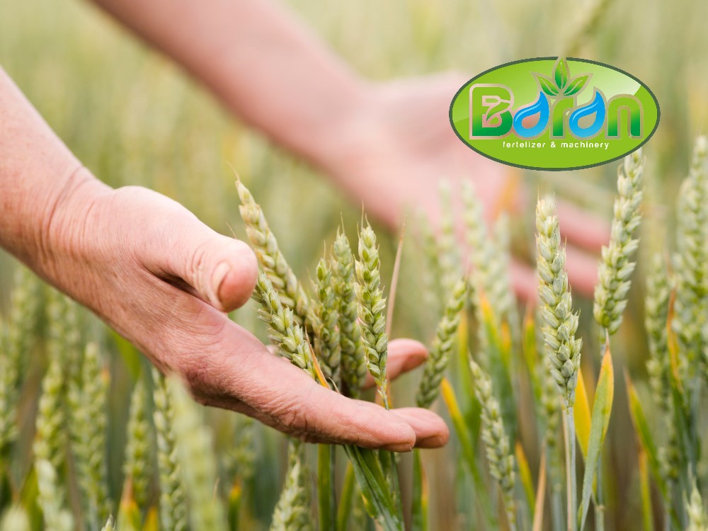 سمپاش برای گلخانه ها